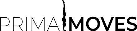 Logo new v101 black