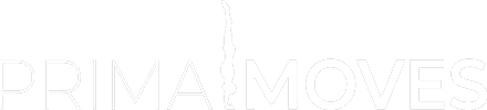 Logo new v101 white
